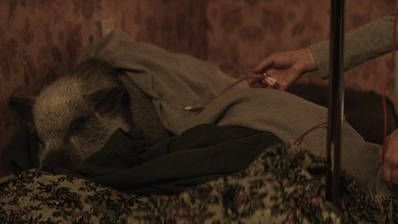 кадр из фильма Рождение/перерождение