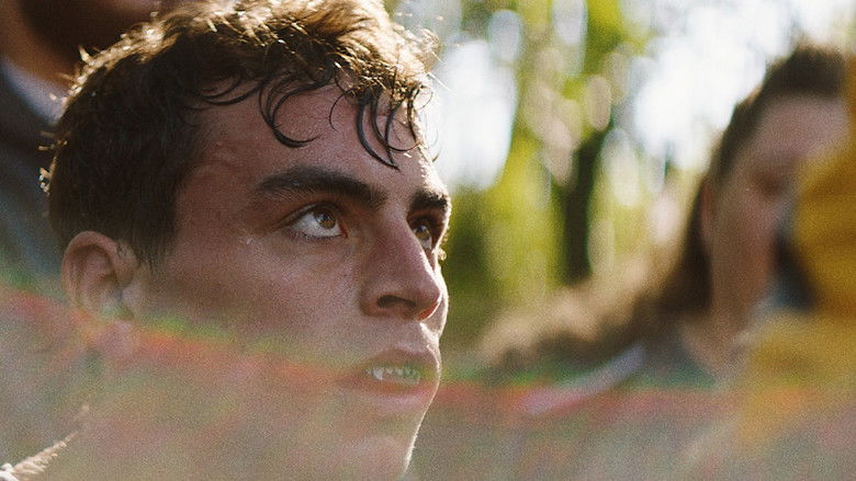 кадр из фильма Lions in the Corner