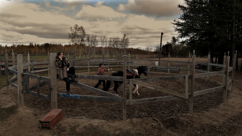 кадр из фильма Cheval