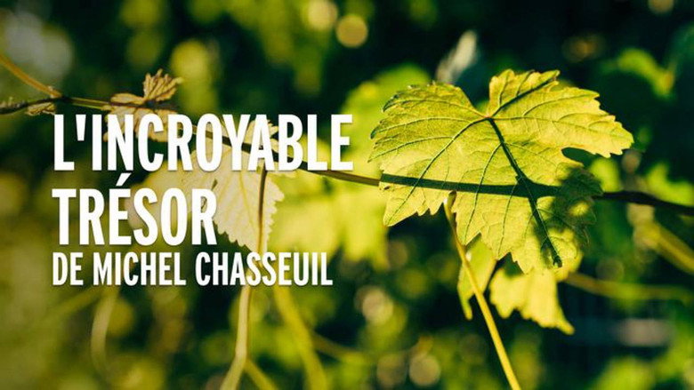 кадр из фильма L'Incroyable Trésor de Michel Chasseuil