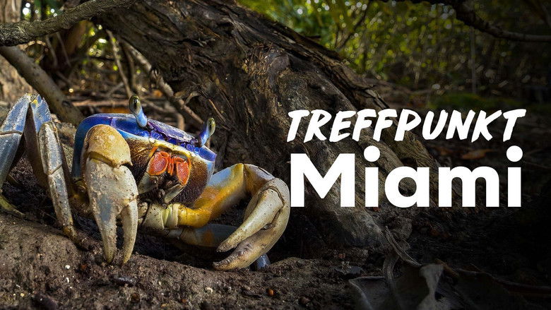 кадр из фильма Miami Wild