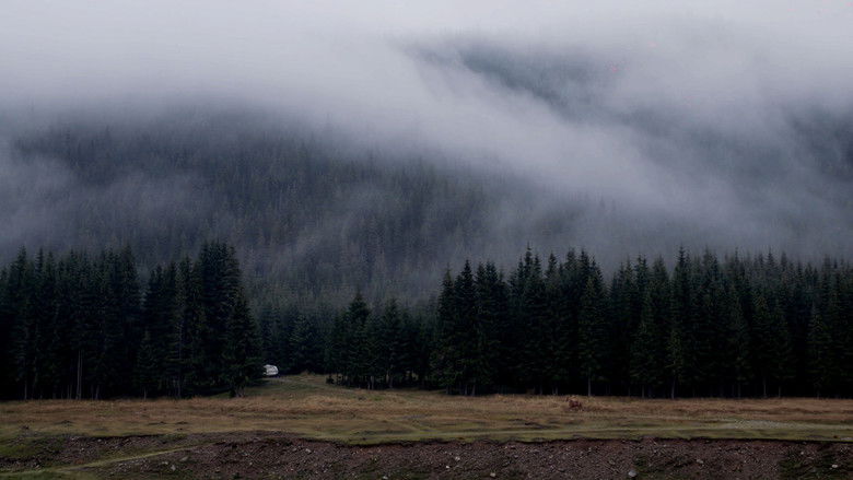 кадр из фильма Olanda