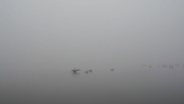 кадр из фильма Port Meadow