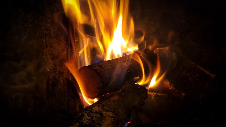 кадр из фильма Bon Vivant