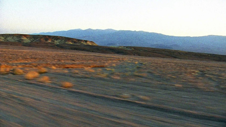 кадр из фильма Бурый кролик