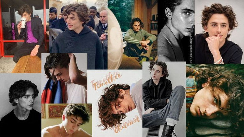 кадр из фильма The True Story of Timothée Chalamet