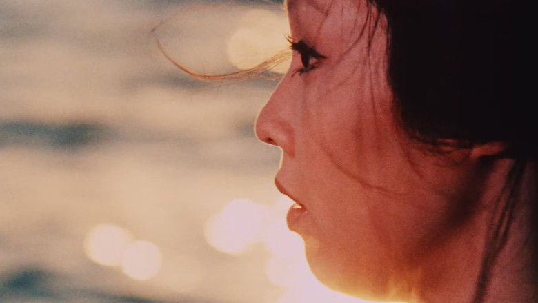 кадр из фильма Затоичи в отчаянии