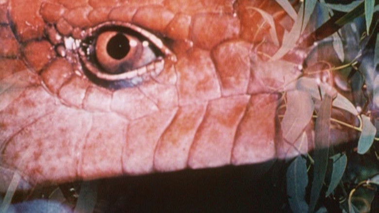 кадр из фильма Australian Bush