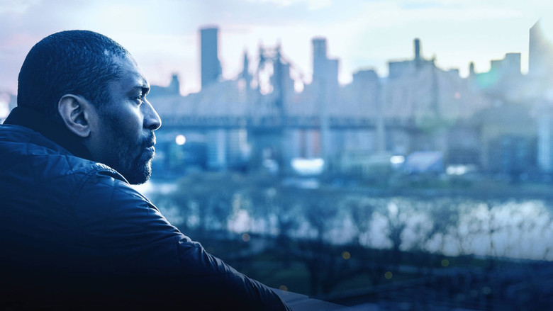 кадр из фильма Quiet Storm: The Ron Artest Story