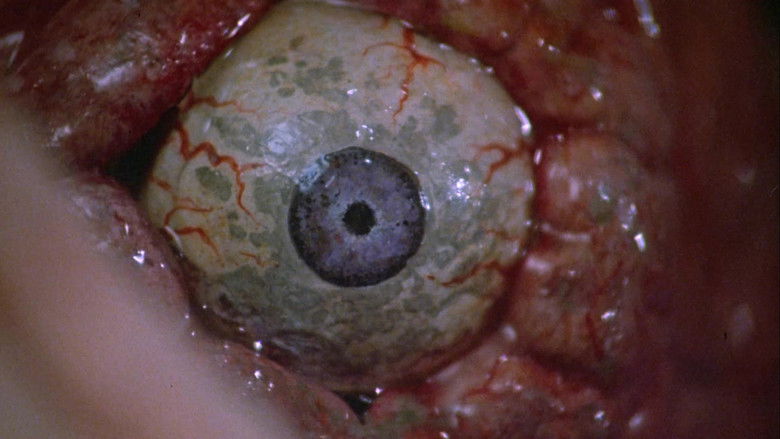 кадр из фильма Франкеншлюха