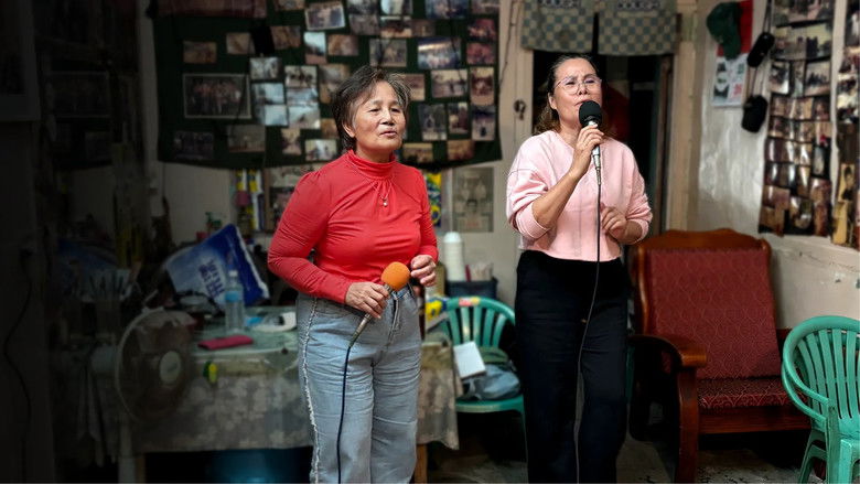 明天我要當歌星，可以嗎？