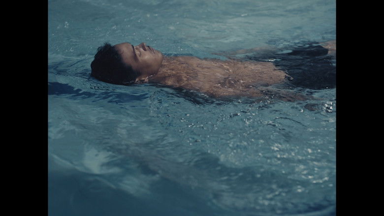 кадр из фильма Animales de guerra