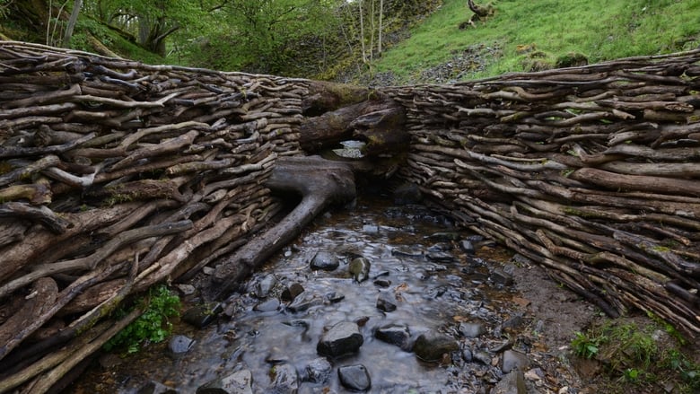 кадр из фильма Leaning Into the Wind: Andy Goldsworthy