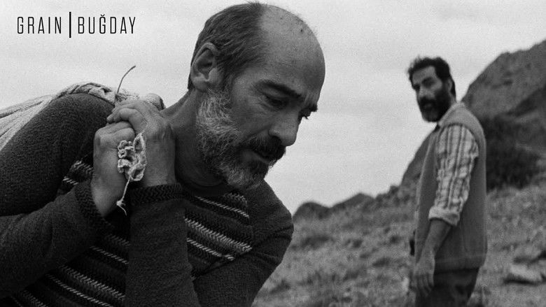 кадр из фильма Зерно