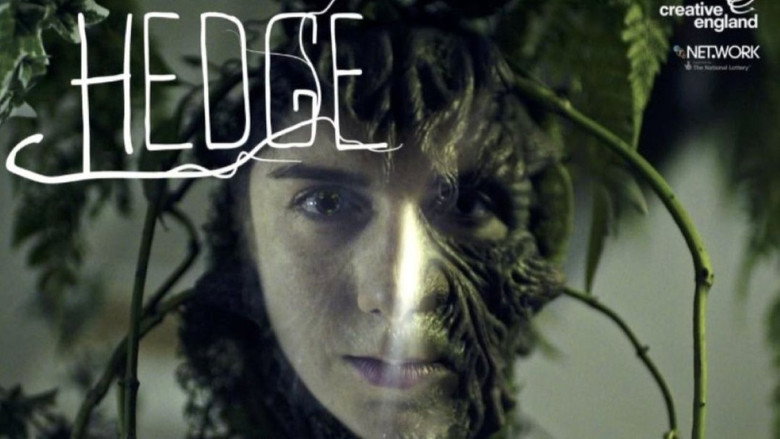 Hedge
