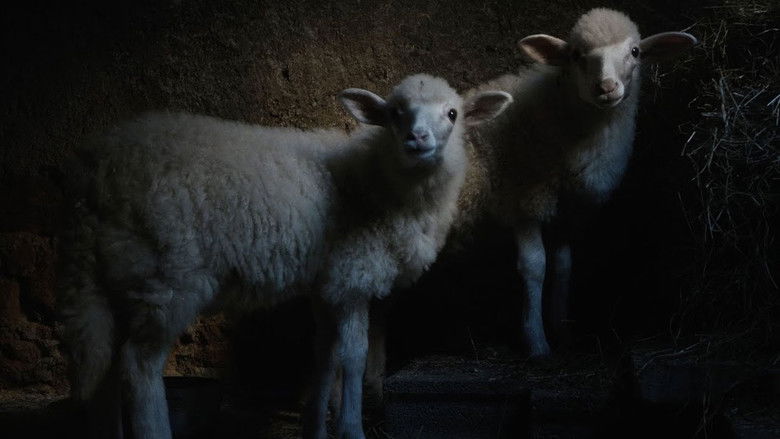 кадр из фильма Agnus Dei