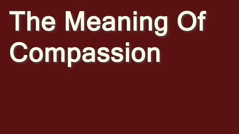 кадр из фильма The Meaning of Compassion