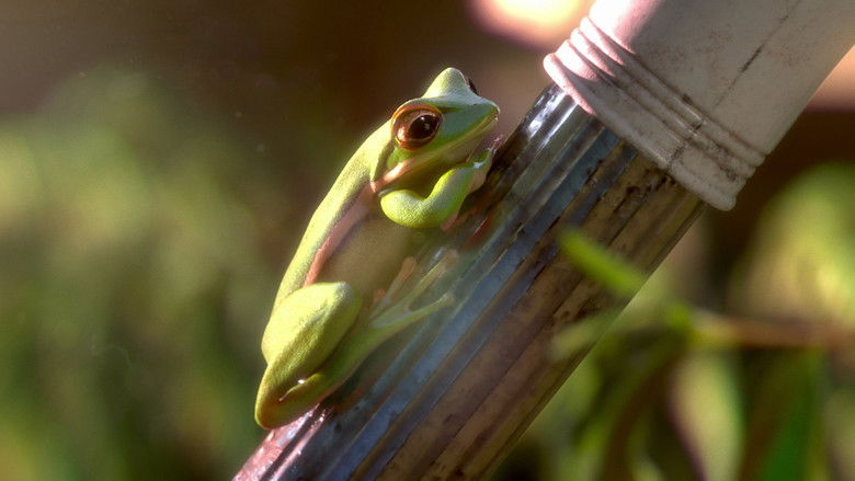 кадр из фильма Вечеринка в саду