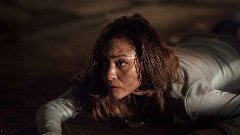 кадр из фильма Лассо