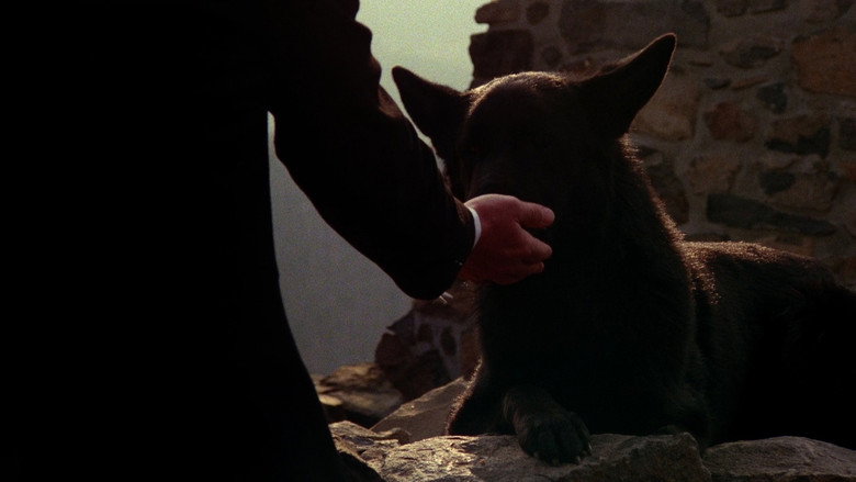 кадр из фильма Laurin