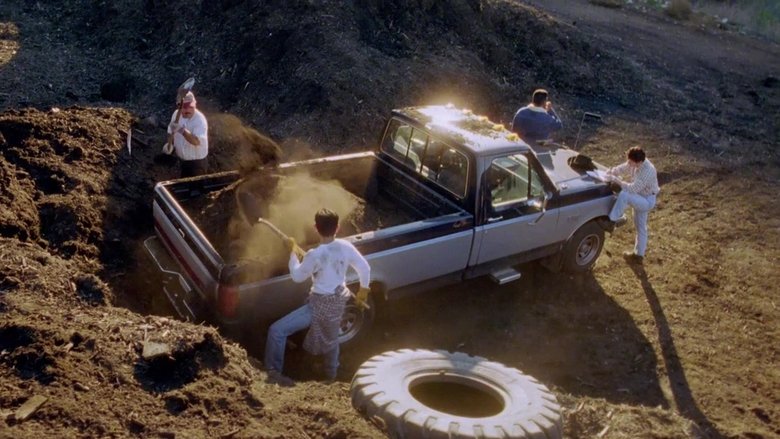 кадр из фильма Amexico