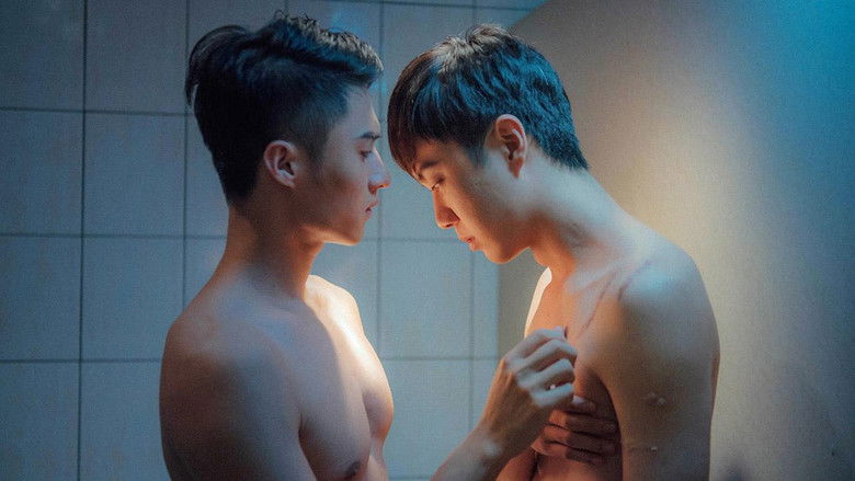 你好，超真實的我們