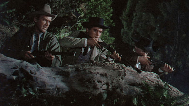 кадр из фильма Излучина реки