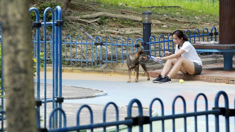 кадр из фильма 狗兒