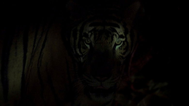 кадр из фильма Тропическая болезнь