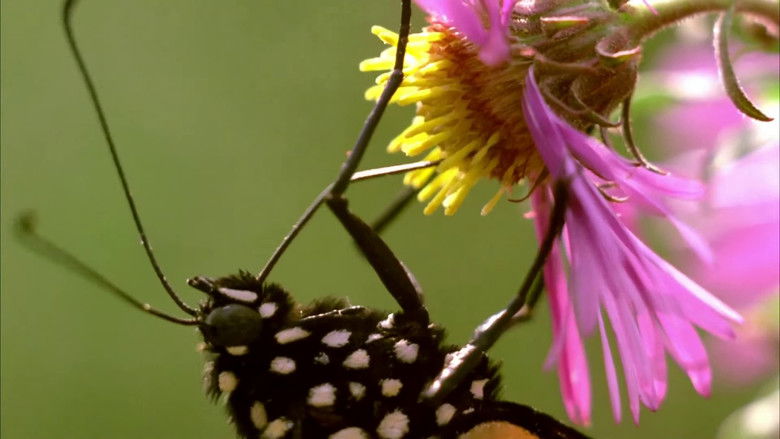 кадр из фильма Don't