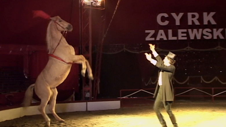 кадр из фильма Еще кое-что из случившегося