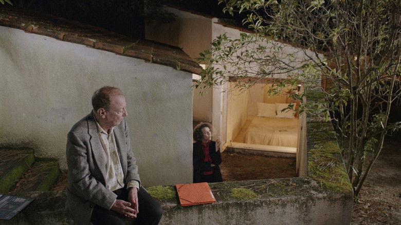 кадр из фильма O trio em mi bemol