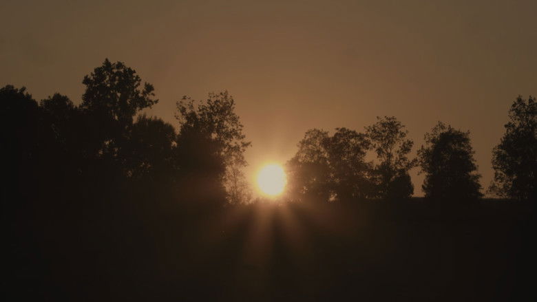 кадр из фильма Sun, Trees, Sun