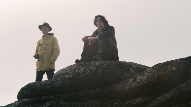 кадр из фильма D Is for Distance