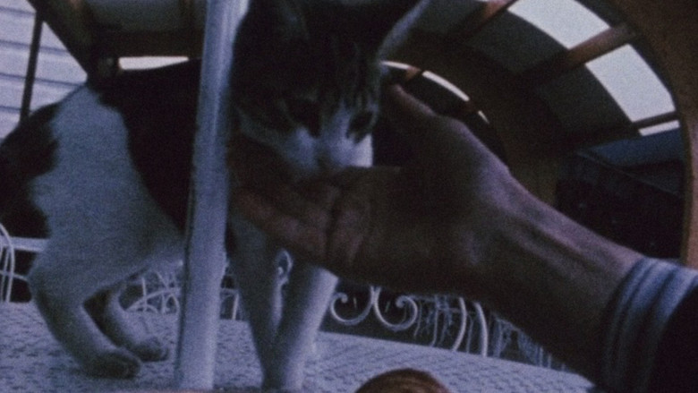 кадр из фильма Diaries, Notes, and Sketches