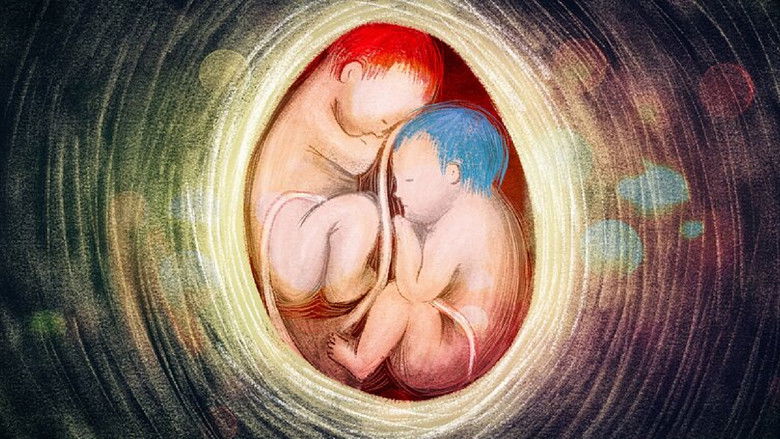 кадр из фильма Moteris ir jos gyvenimai