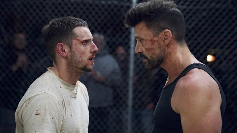 Все пути ведут в Доннибрук