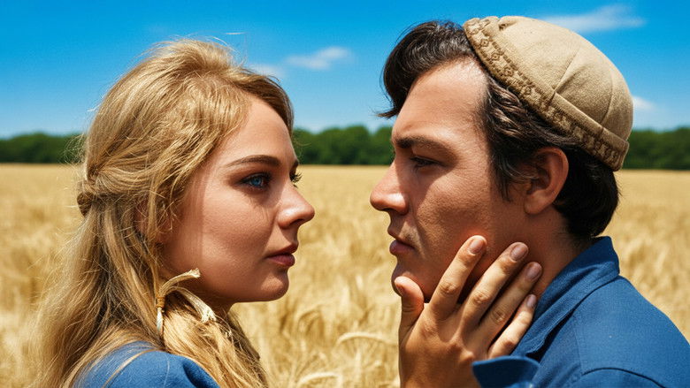 кадр из фильма Karaoğlan Altay'dan Gelen Yiğit