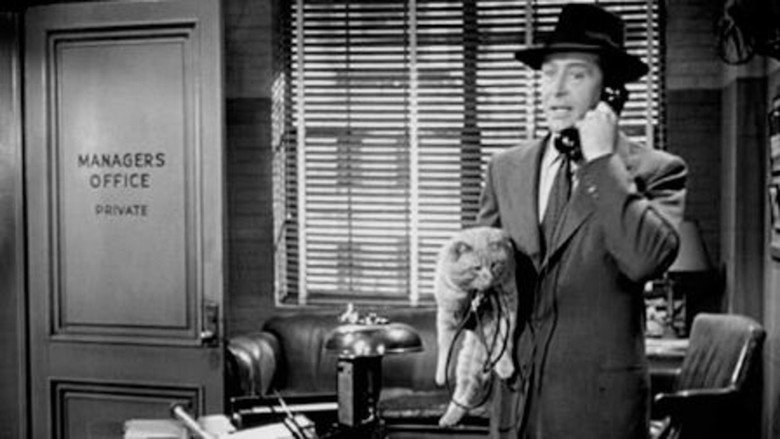 кадр из фильма Rhubarb