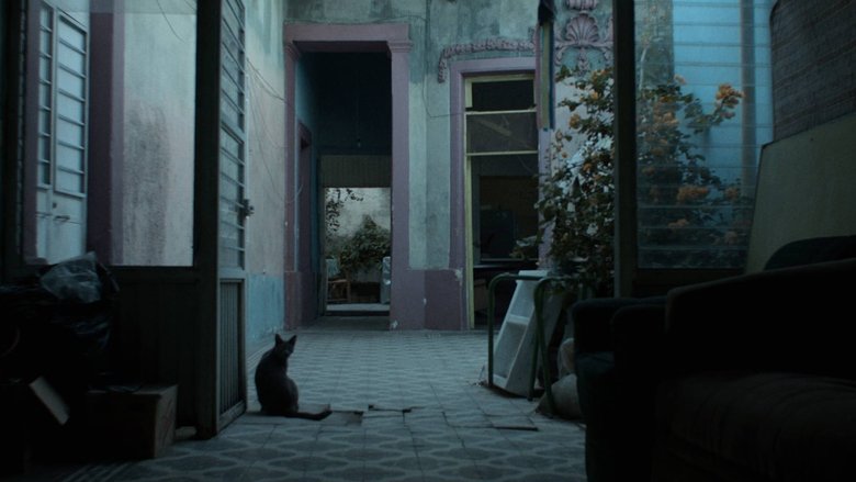 кадр из фильма Los años azules