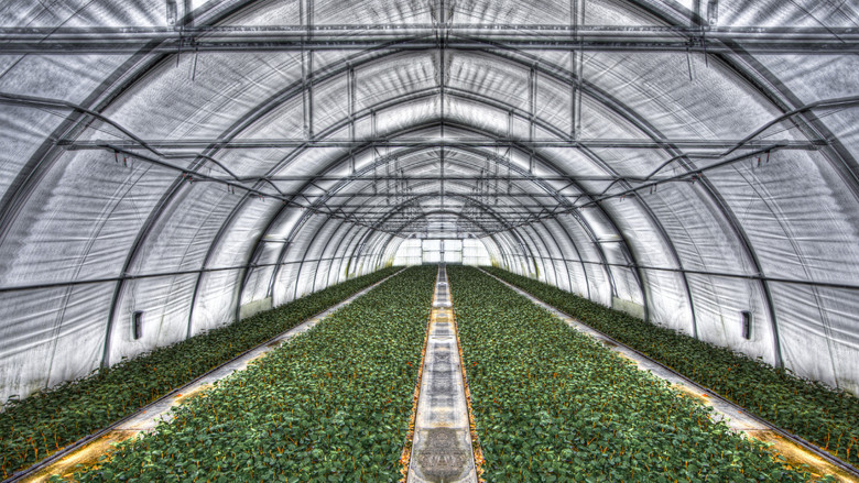 кадр из фильма The Fog