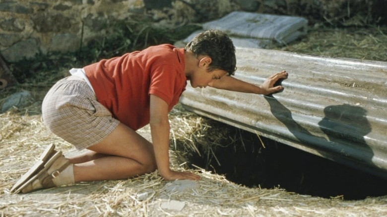 кадр из фильма Я не боюсь