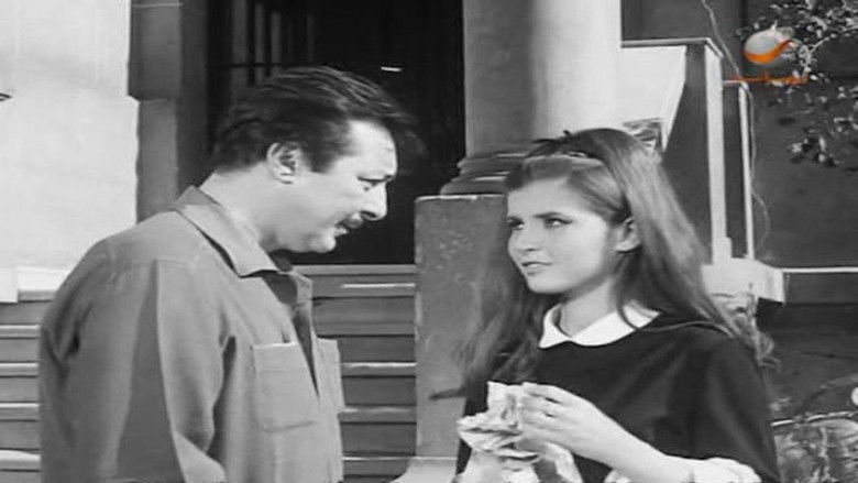 سارق المحفظة