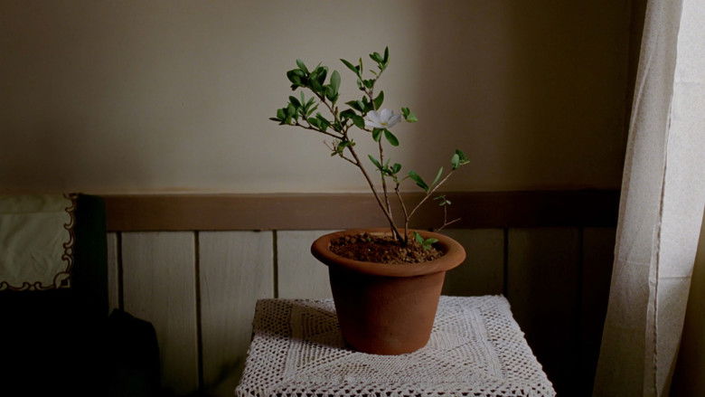 кадр из фильма दोपहर के बादल