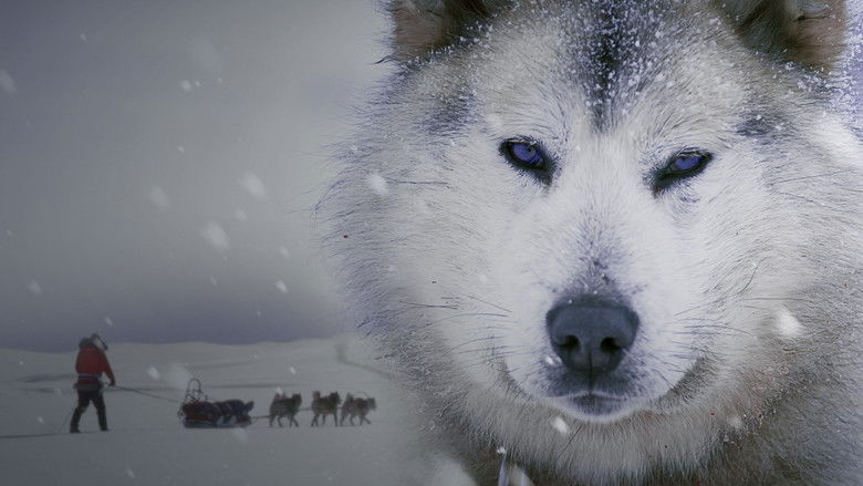 кадр из фильма Ice Dogs: The Only Companions Worth Having