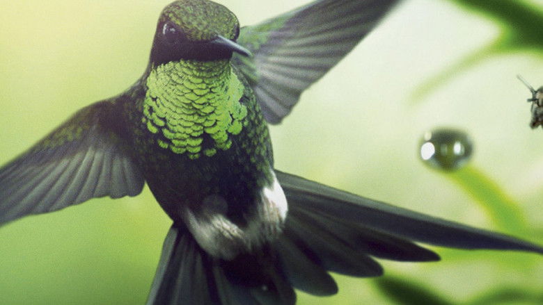 кадр из фильма Земля: Один потрясающий день