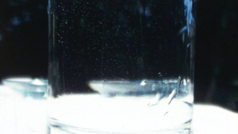 кадр из фильма hi ka ri