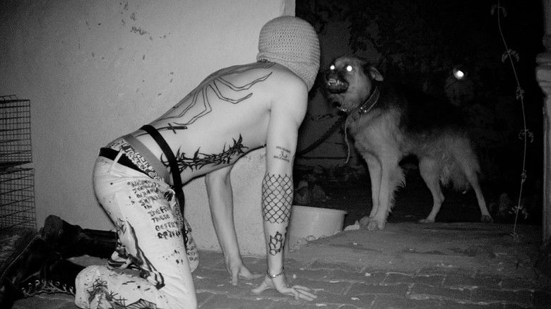 Black Knights of Tunis