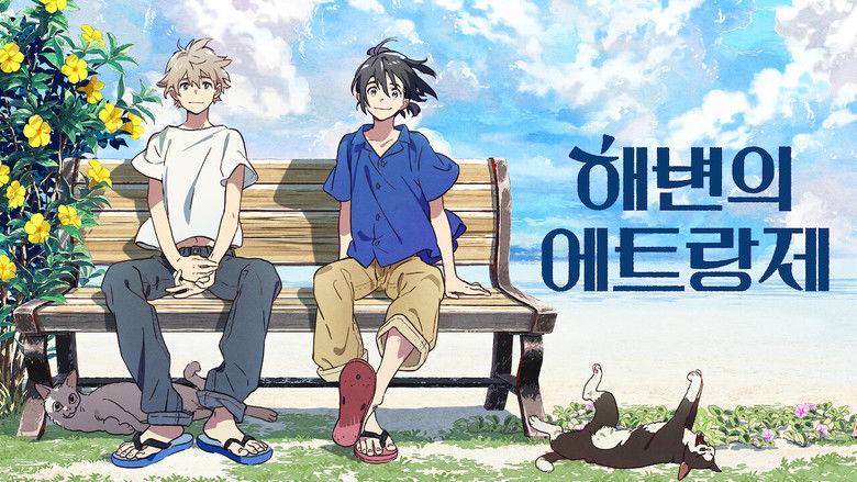 кадр из фильма 海辺のエトランゼ