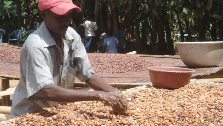 кадр из фильма Doux-amer : cacao bio du Ghana
